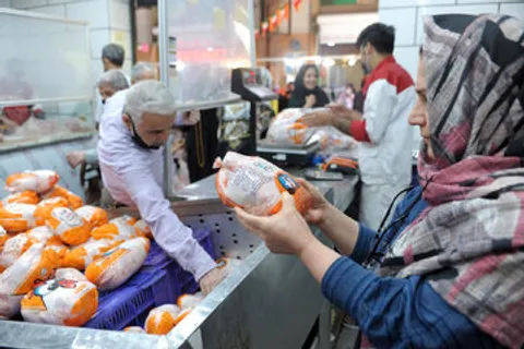 قیمت گوشت مرغ امروز ۲۲ شهریور ۱۴۰۵