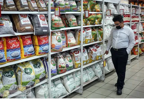 جدول جدید قیمت انواع برنج ایرانی؛ امروز ۸ شهریور ۱۴۰۵