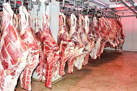 عرضه گوشت گرم وارداتی به تعویق افتاد