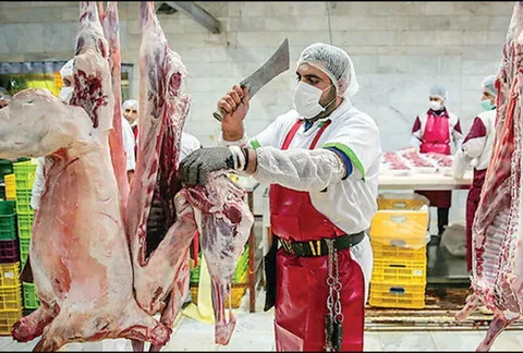 بازار گوشت متعادل گزارش می‌شود