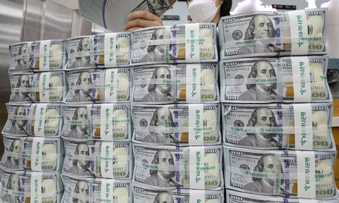 قیمت حواله دلار امروز دوشنبه 19 مرداد 1405