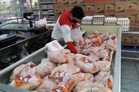قیمت گوشت مرغ امروز ۵ مرداد ۱۴۰۵+ جدول