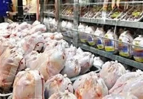قیمت انواع گوشت مرغ تازه و بسته‌بندی و قطعه‌بندی+شهریور ۱۴۰۵