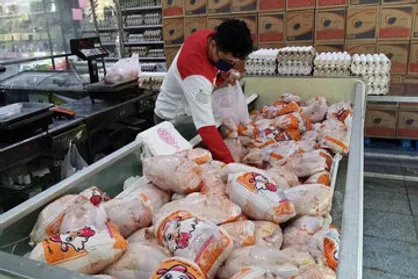 قیمت گوشت مرغ امروز ۵ مرداد ۱۴۰۵+ جدول