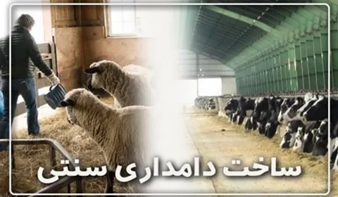 ساخت دامداری سنتی