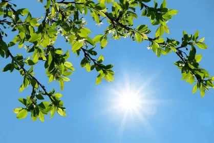 هواشناسی به ساکنان ۱۰ استان هشدار افزایش گرما صادر کرد/ گرمای بی‌سابقه در راه